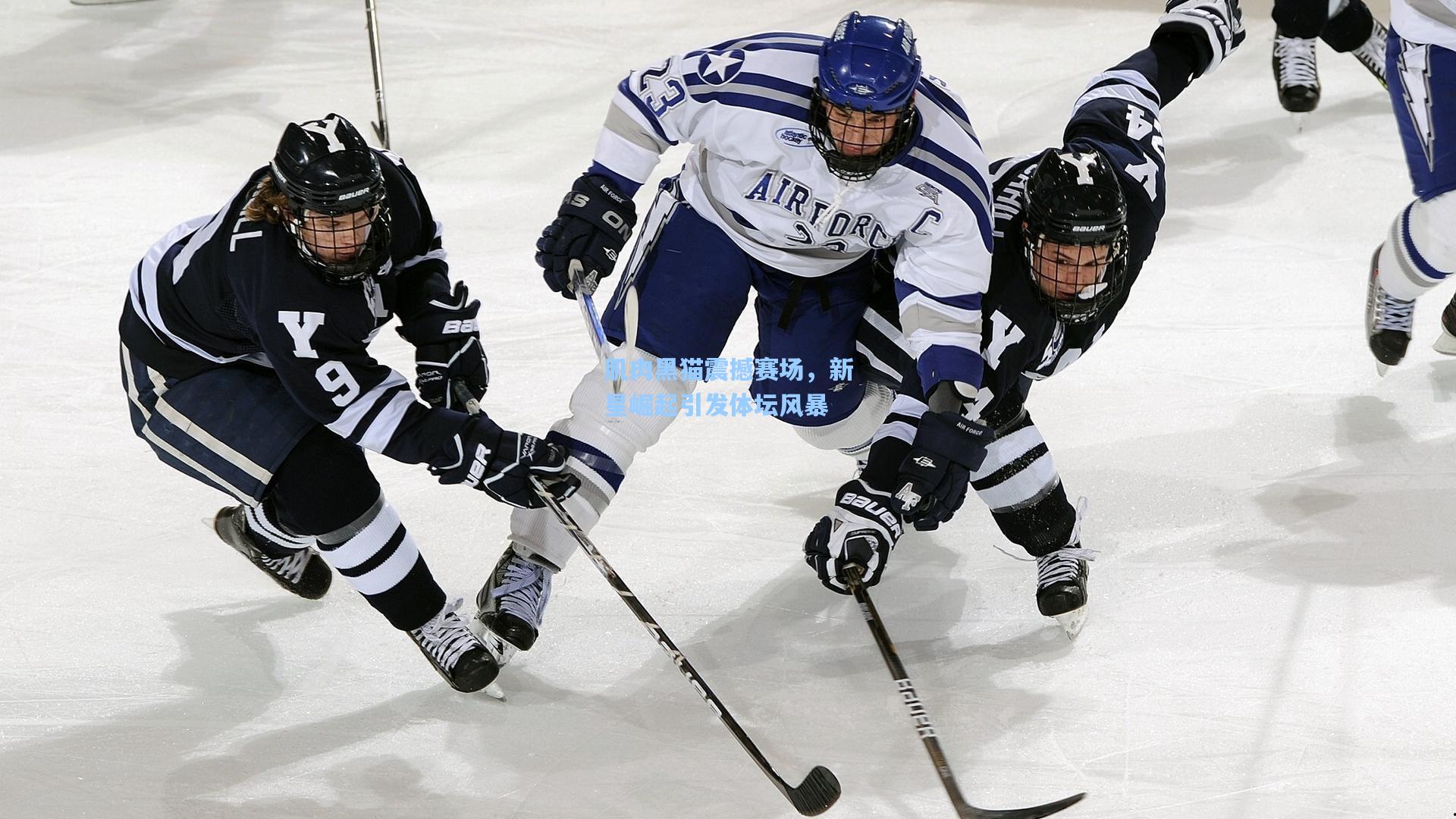 爱游戏app：肌肉黑猫震撼赛场，新星崛起引发体坛风暴