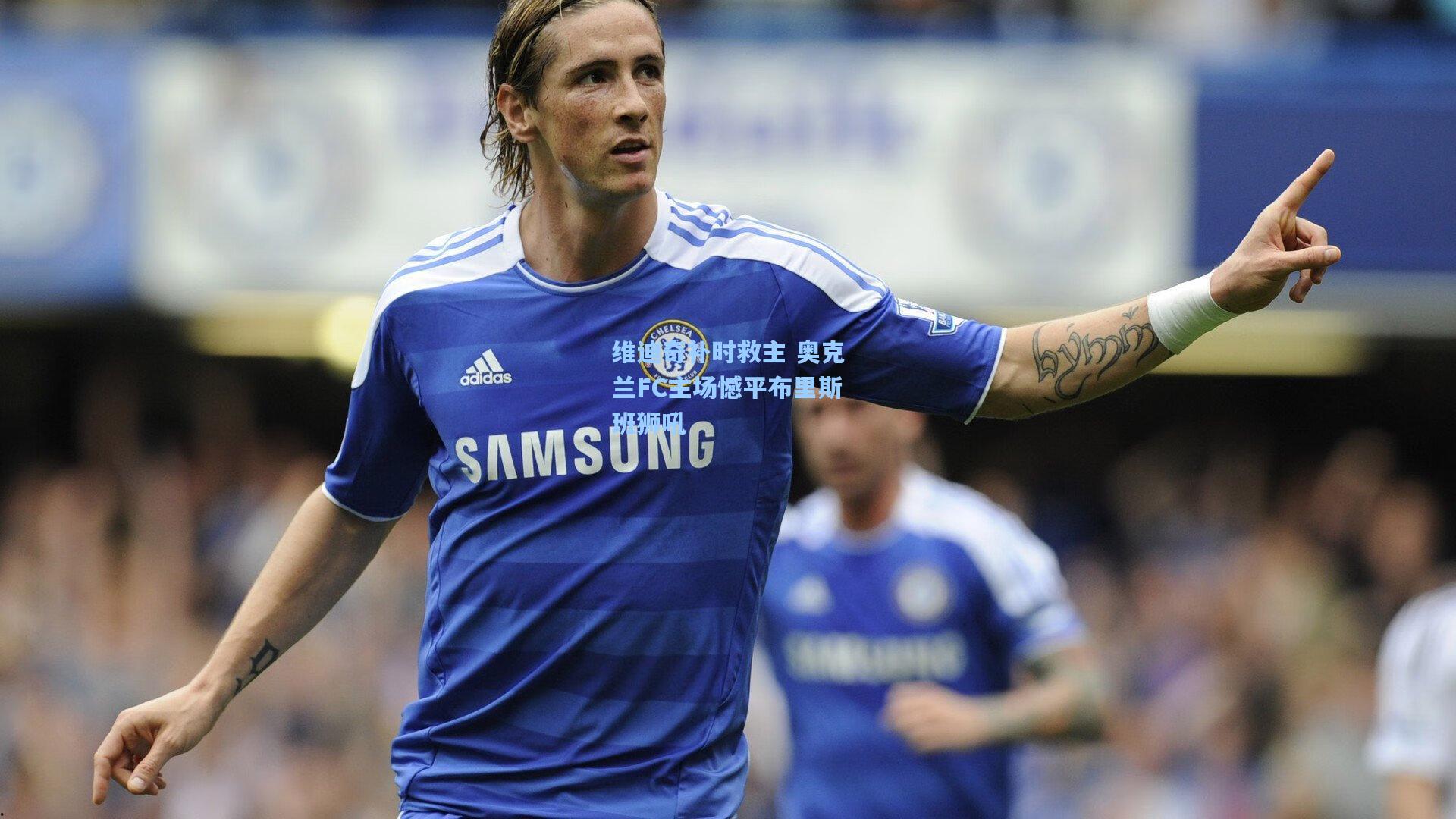 爱游戏全站_维迪奇补时救主 奥克兰FC主场憾平布里斯班狮吼